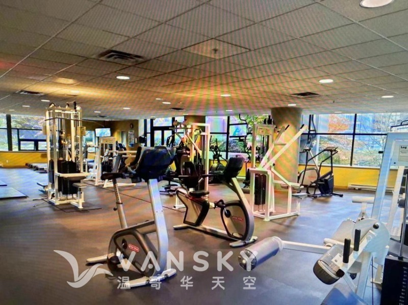 251229115159_lions outside 5.jpg